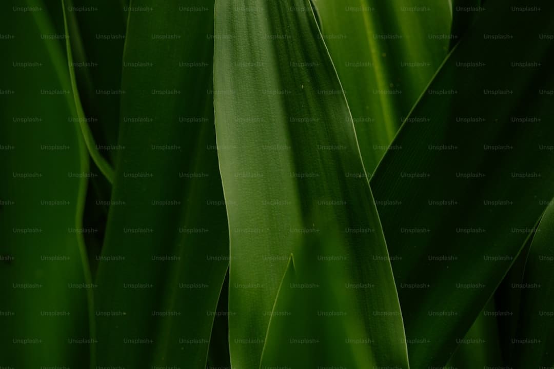 王源世界超级无敌大狂欢北京站两场连开 破鸟巢最年青开唱者记载